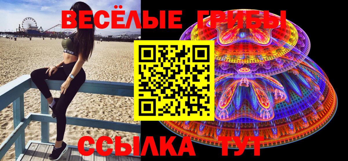 Нальчик  Псилоцибиновые грибы прущие грибы  Вход с VPN 